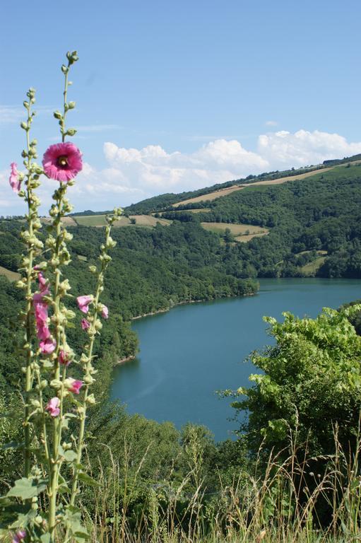 Les Hotes Du Lac, Chambres Et Tables D'Hotes Mandailles  Kültér fotó